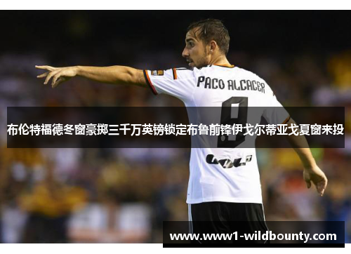 布伦特福德冬窗豪掷三千万英镑锁定布鲁前锋伊戈尔蒂亚戈夏窗来投