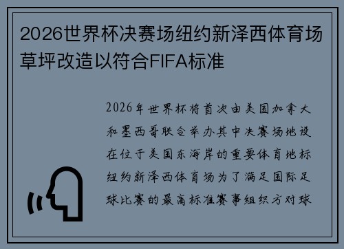 2026世界杯决赛场纽约新泽西体育场草坪改造以符合FIFA标准