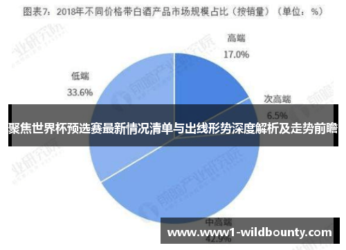 聚焦世界杯预选赛最新情况清单与出线形势深度解析及走势前瞻